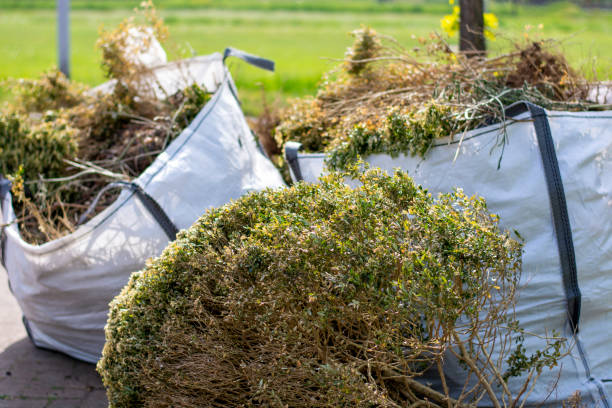 Trash Removal Near Me in Mount Healthy Heights, OH